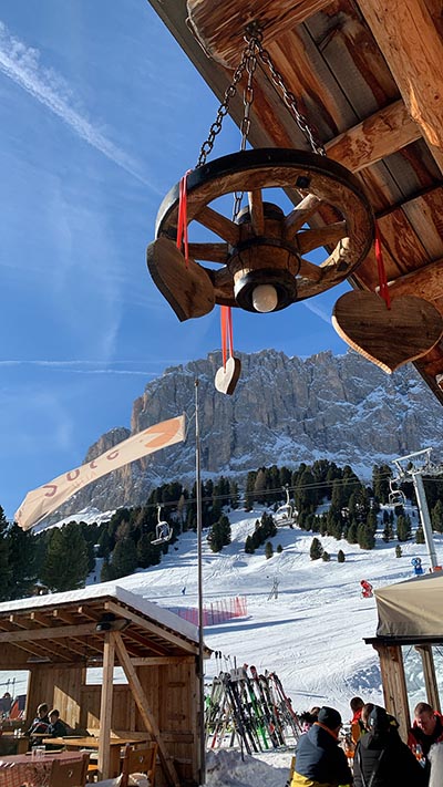 Vista sul Sassolungo